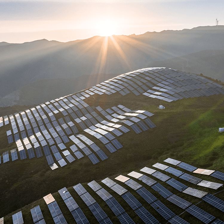 Climate Economics and Finance