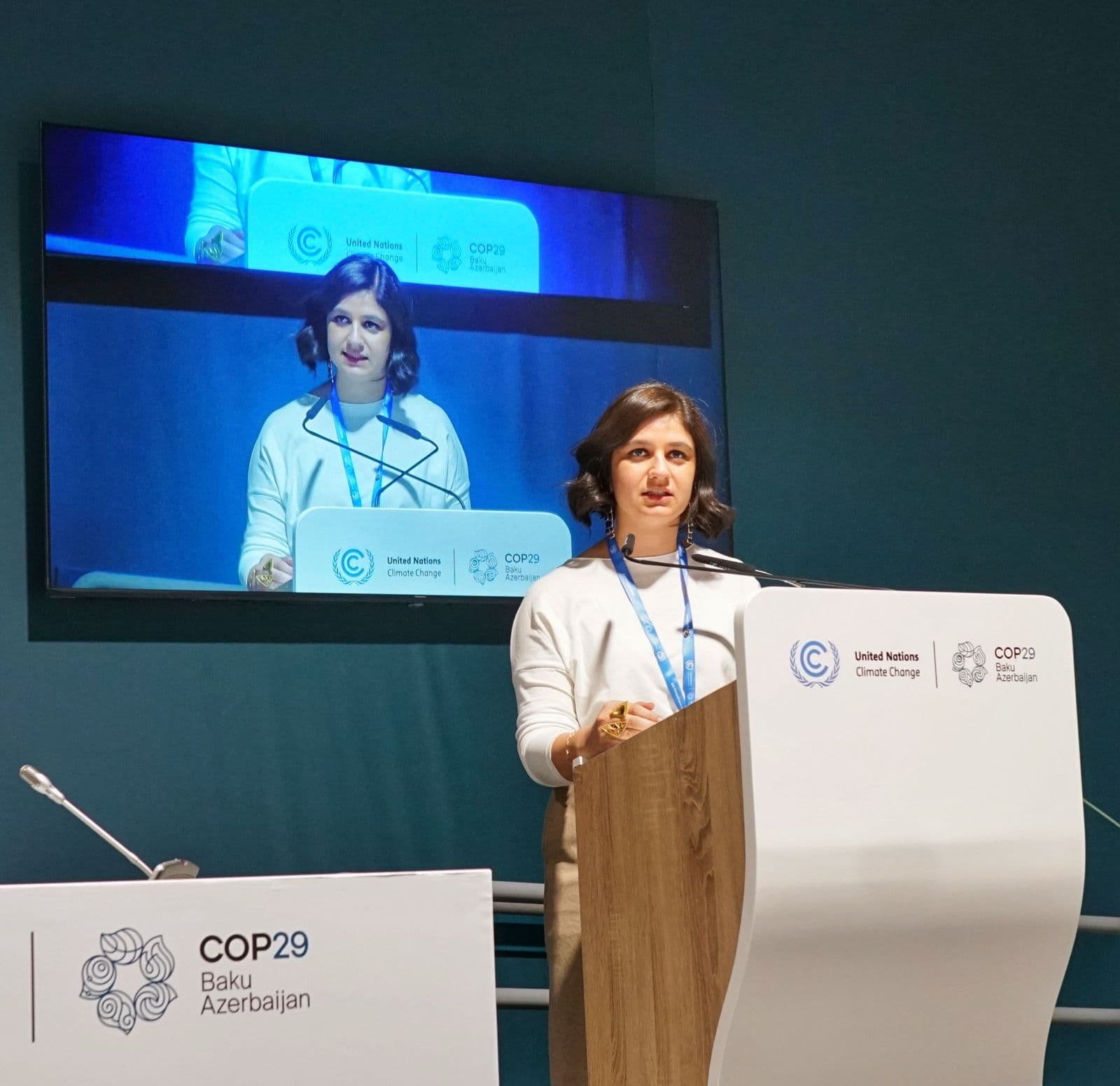 COP29 Summit: What Is India's Stance On Climate Funding?