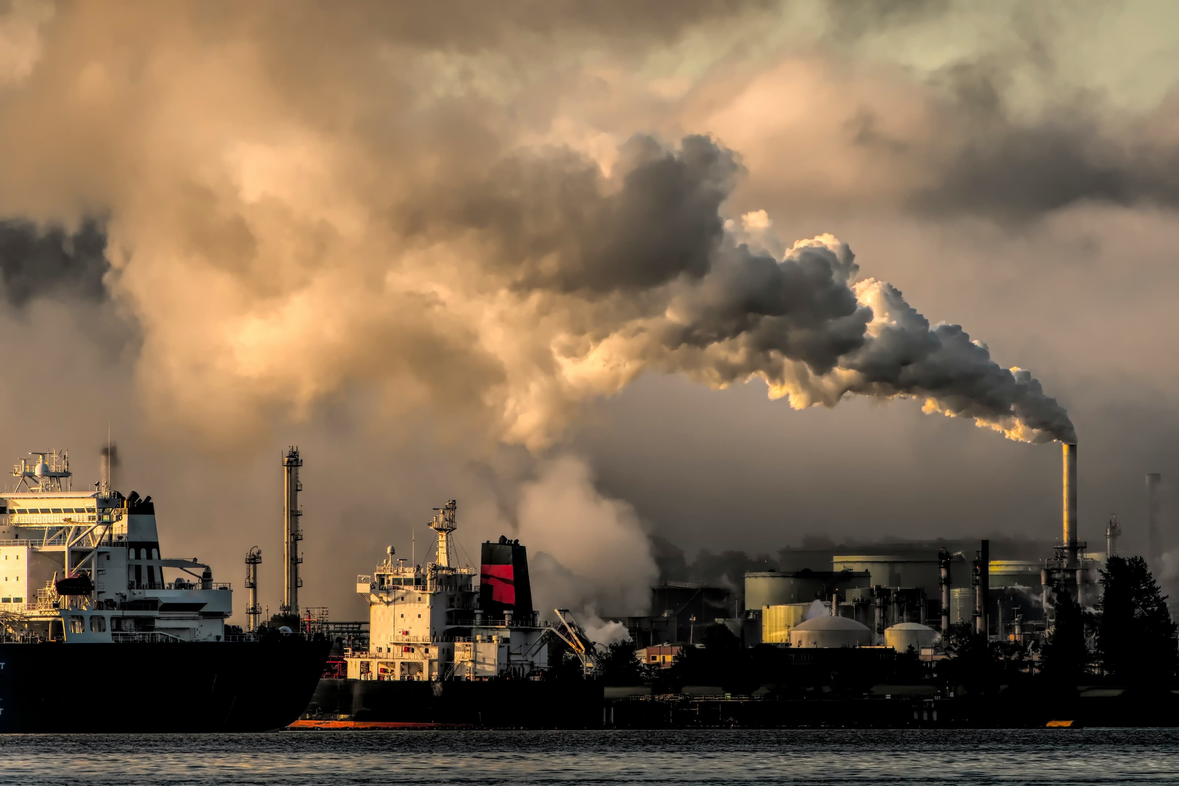 Working Title : Analysis on the financial feasibility of Carbon Capture, Utilisation and Storage Plants in India