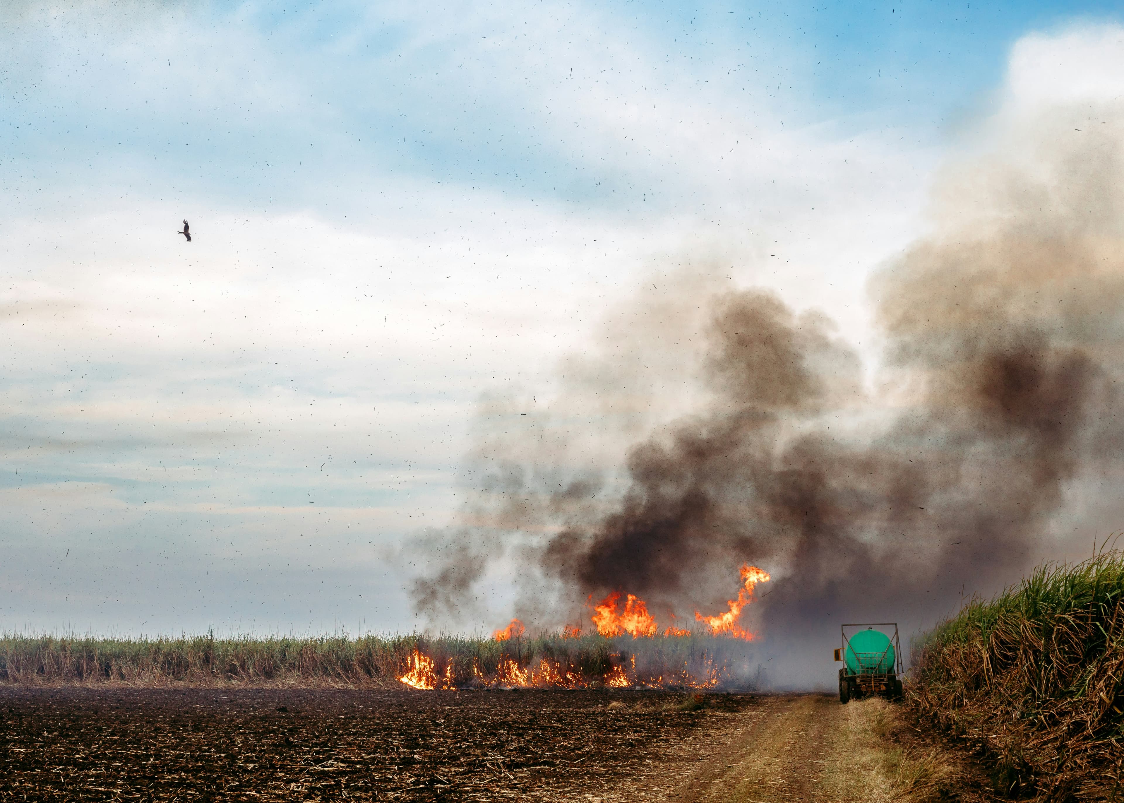 Potential areas of crop residue burning contributing to hazardous air pollution in Delhi during the post-monsoon season